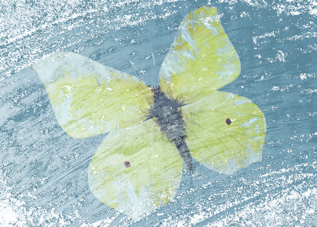 „Und wenn ich Morgen sterbe, dann wirst du wissen,…“