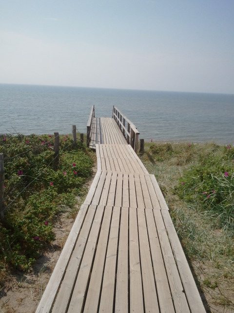 Literarisches Fastfood